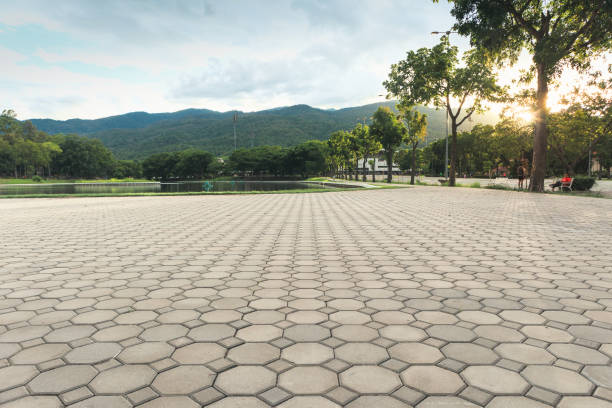 Best Local Driveway Pavers  in Ransomville, NY