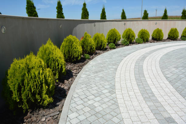 Best Driveway Pavers Contractor  in Ransomville, NY